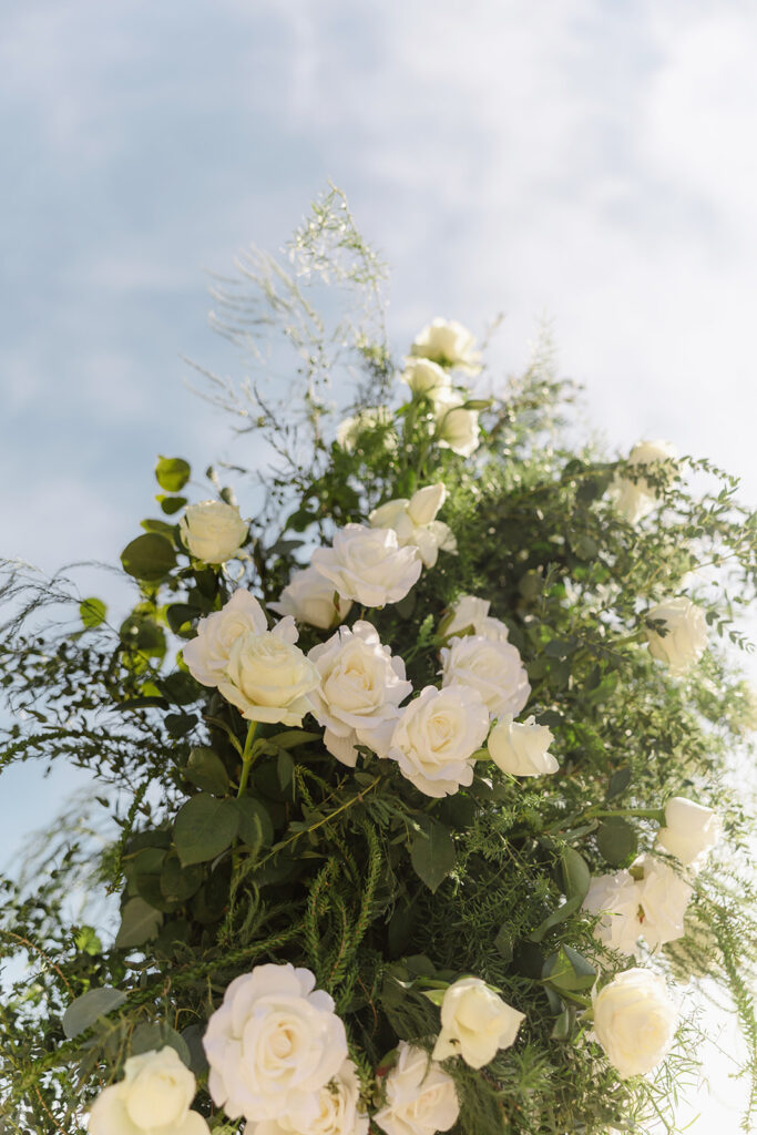 ceremony photos at outdoor venue