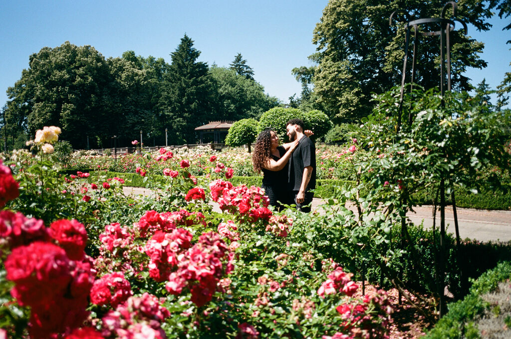 a rose garden couples photoshoot
